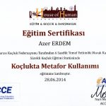Koclukta_Metafor_Kullanimi